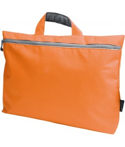 Сумка для документов (10)