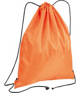 Рюкзак спортивный (10)