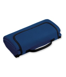 Плед флисовый (04)