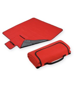 Плед флисовый (05)