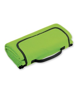 Плед флисовый (22)