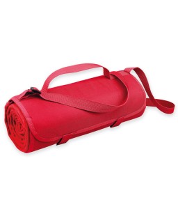 Плед флисовый (05)