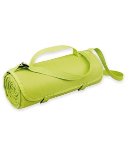 Плед флисовый (22)